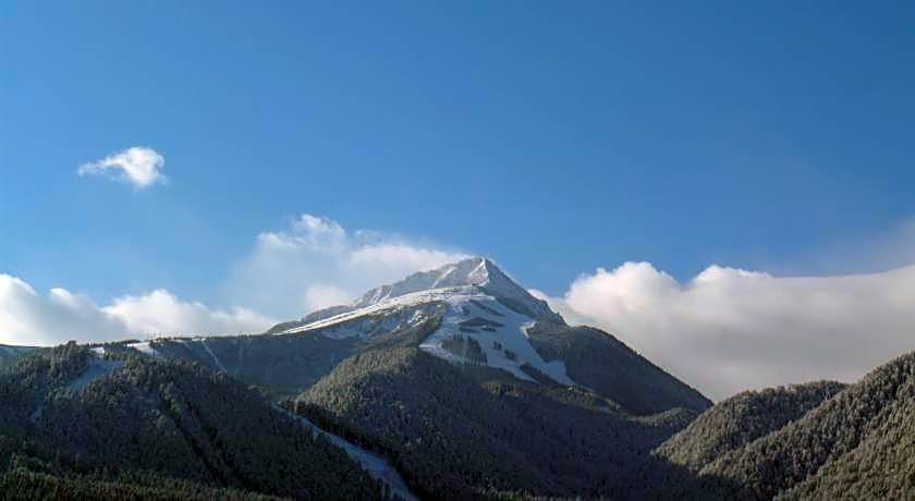 Cedar Lodge 3/4 Apartment Paradise