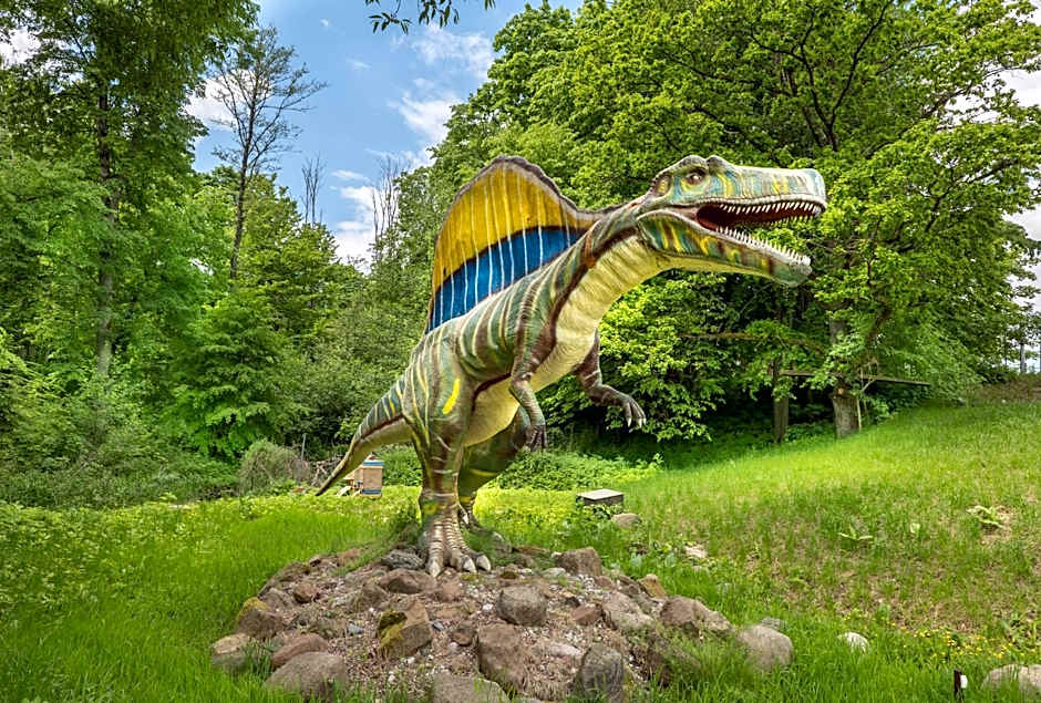 AKIS namelis medyje- Dinosaur Park