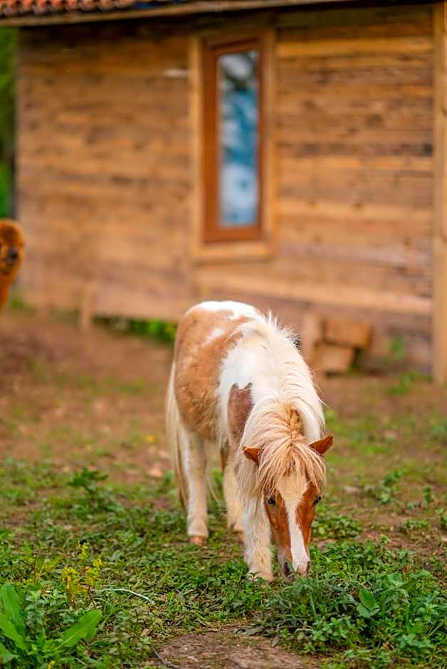 Alya Kartepe Villa Hotel