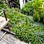 City Escape - Terrace & Guillemins Proximity