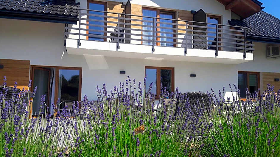 Villa Natura Zator Przeciszów