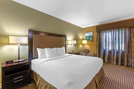King Room - Non-Smoking