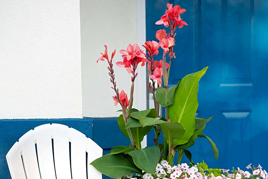 Rodeway Inn Middletown - Newport