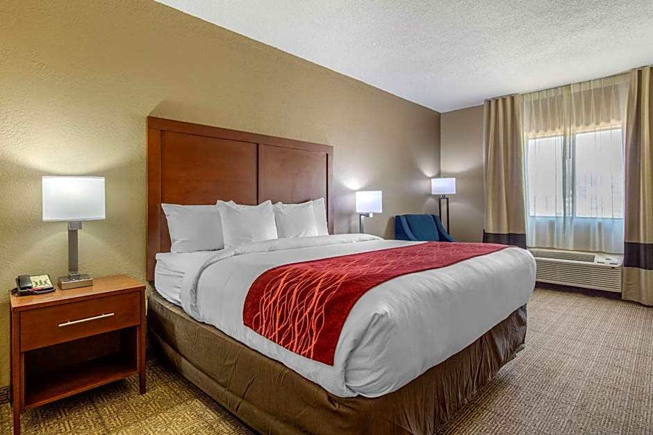 Comfort Inn & Suites Mccomb