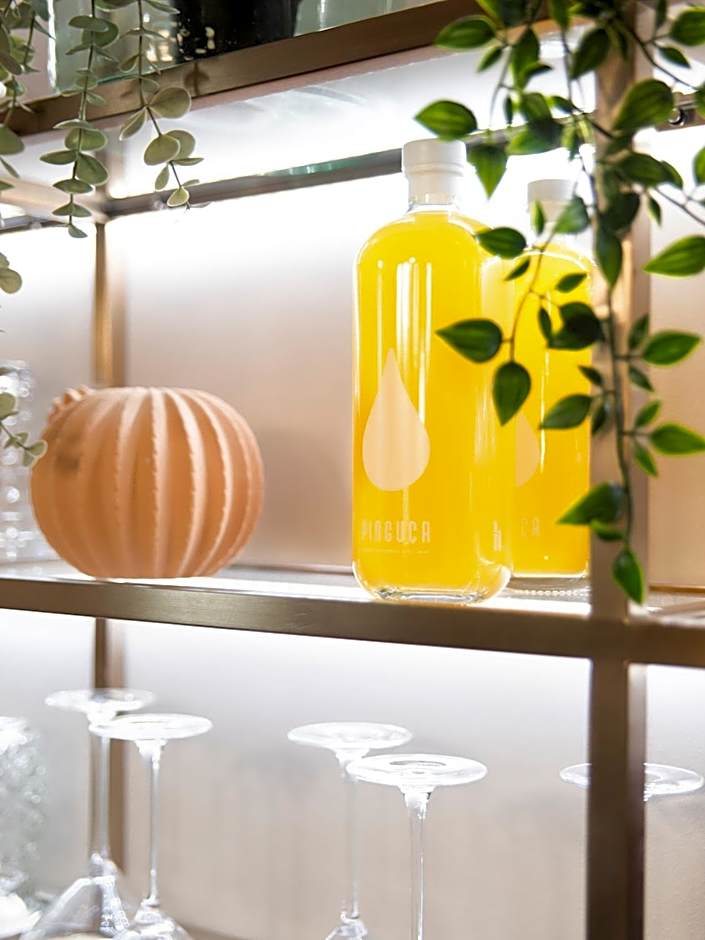 Casa Noronha Lima - Historic Stay