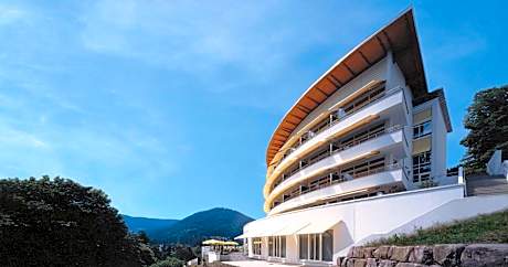 Schwarzwald Panorama