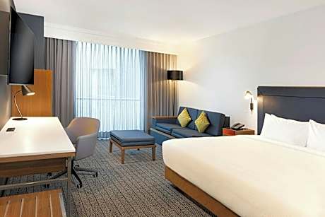 Room, 1 King Bed with Sofa bed (1 King Bed and 1 Double Sofa Bed)