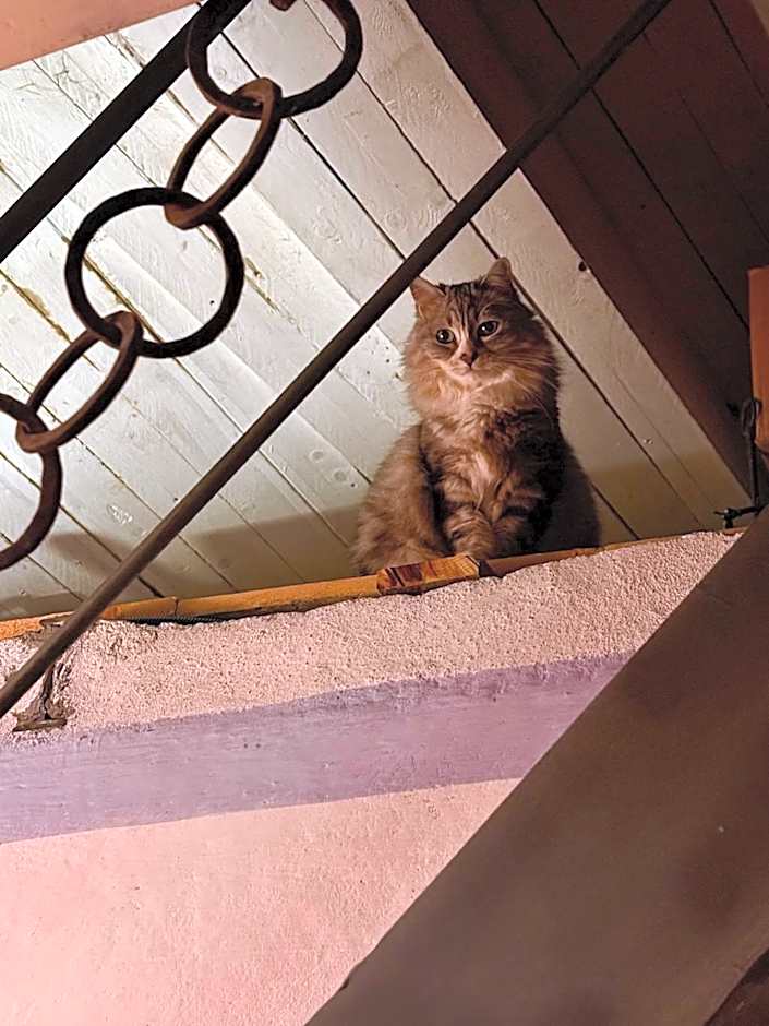 Viandanti, Artisti e Sognatori