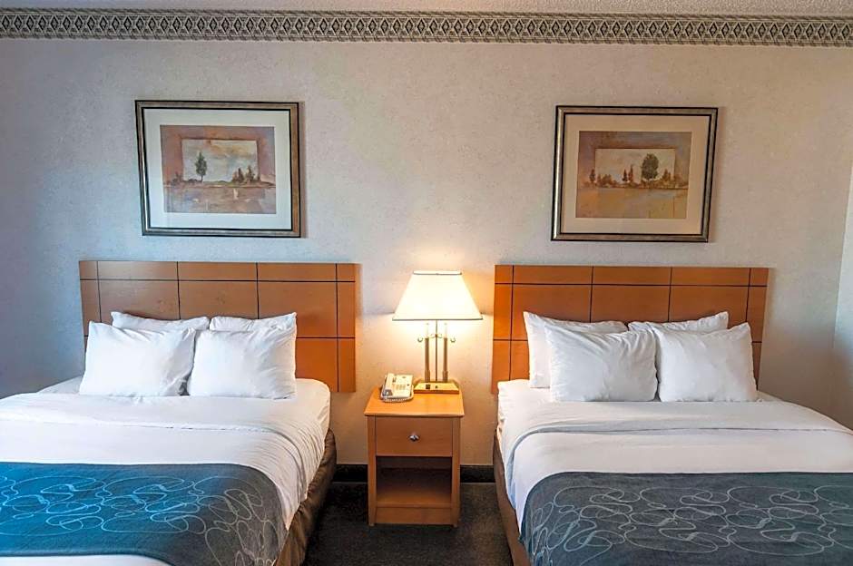 Comfort Suites   University
