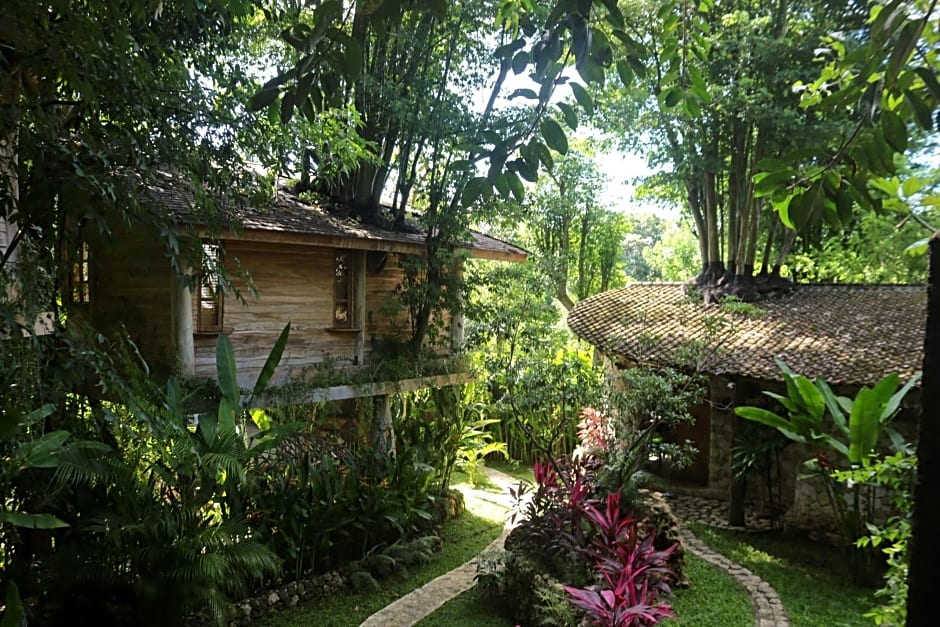 Roots Tree House