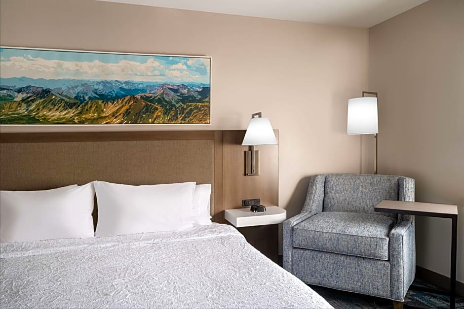 Hampton Inn By Hilton & Suites Salida