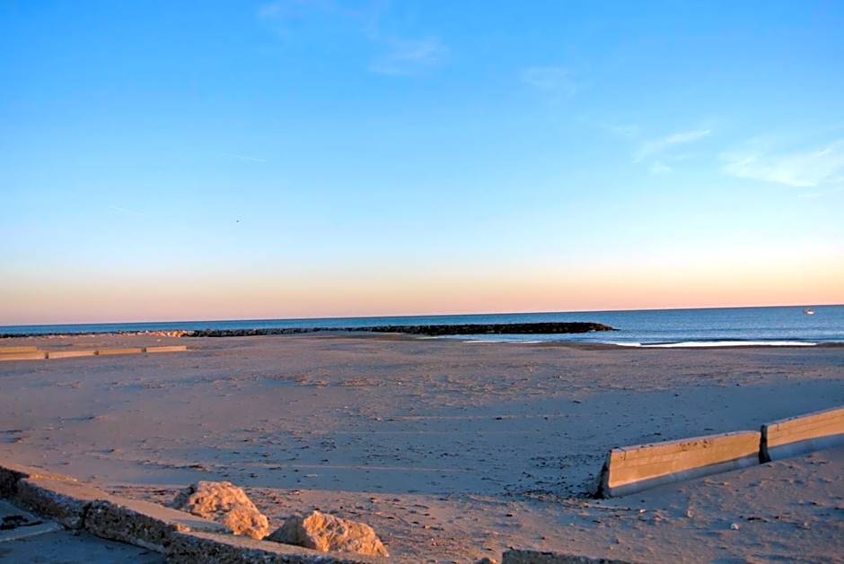Hotel Les Palmiers En Camargue