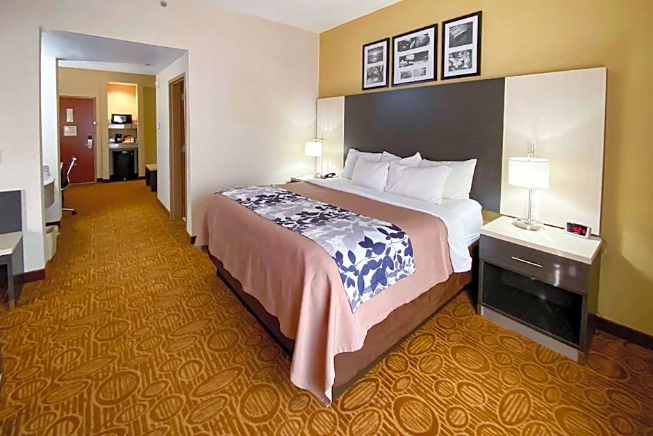 Photo 1 of 4 of 1 King Bed Suite