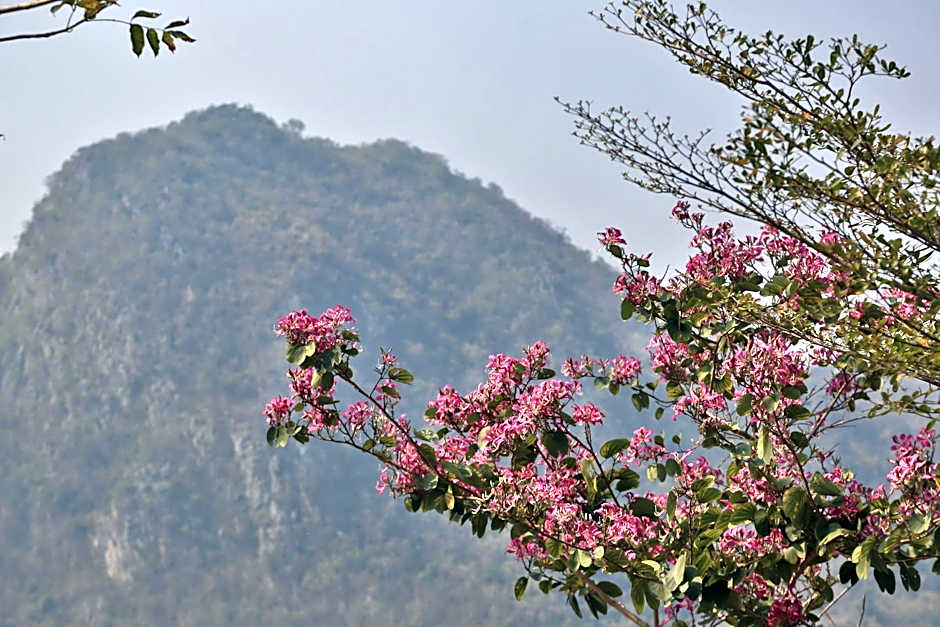 Curve360 Hotel Khao Yai