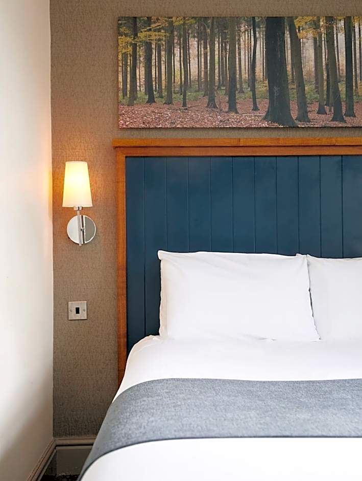 White Rabbit by Chef & Brewer Collection