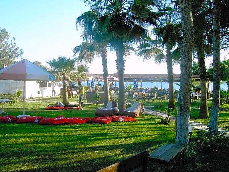 Clover Magic Nova Beach