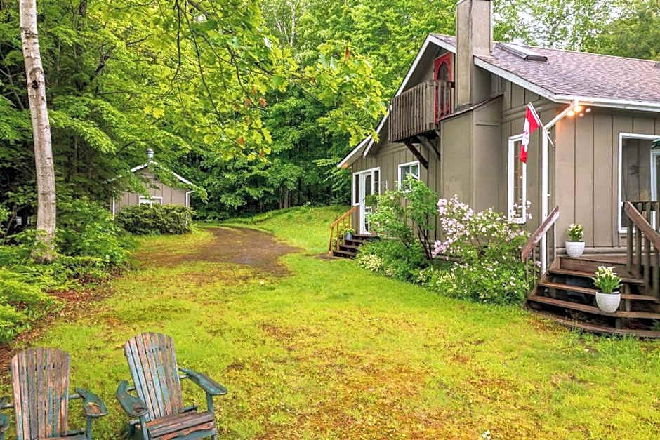 Bear Essentials Hideaway