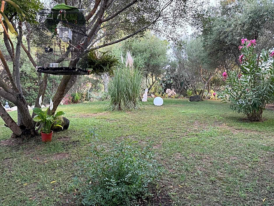 Villa DESIDERIA B&B