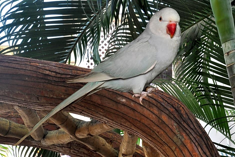 HOTEL SAIPALKHI NIWARA