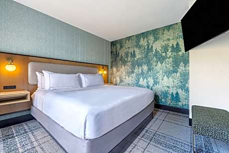 1 King 1 Bedroom Suite