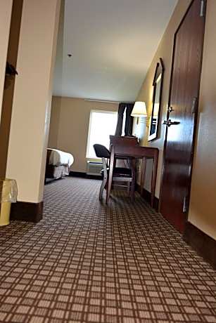 King Room with Roll-In Shower - Disability Access