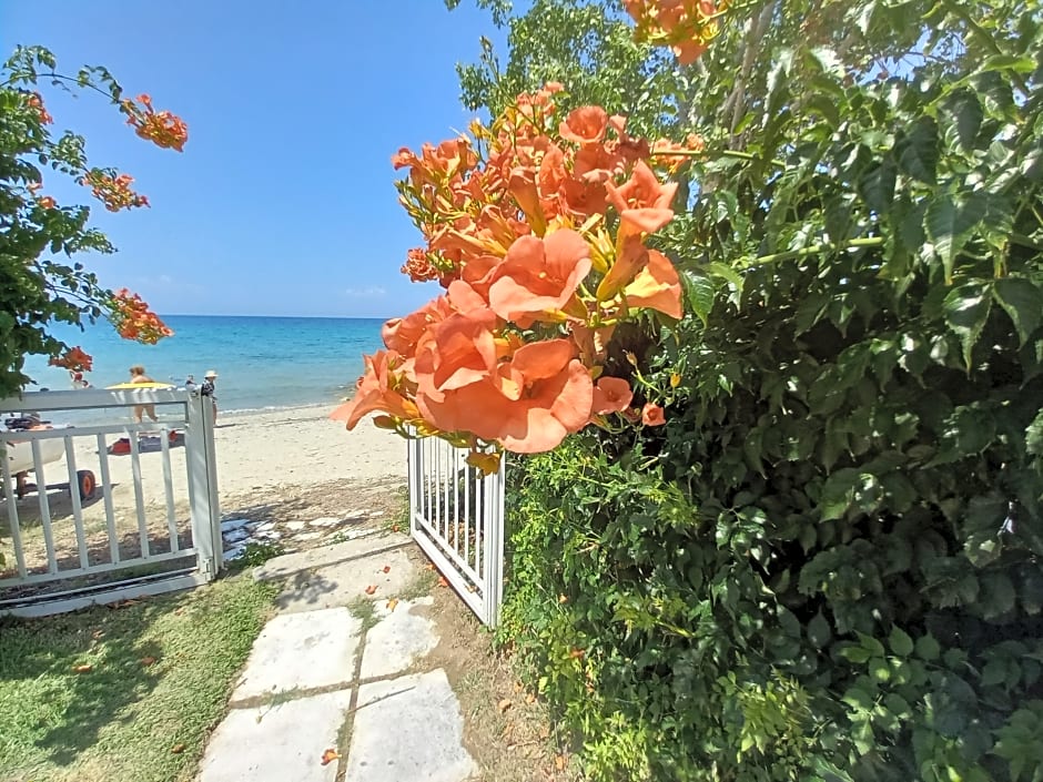 Greek Pride Evlogia Seaside