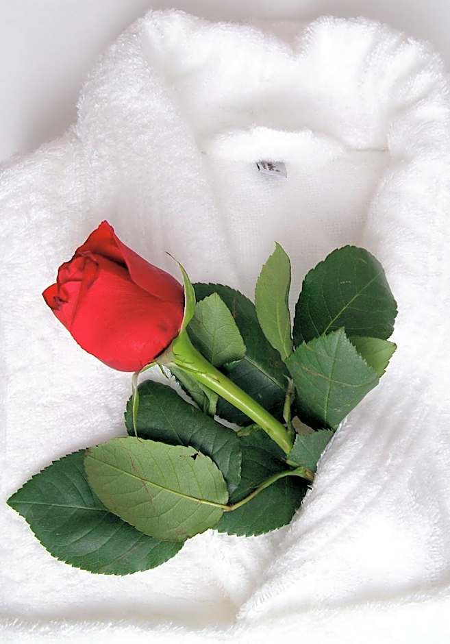Photo 1 of 3 of Romantic
