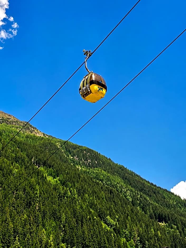 Hotel Buckelhof - See - Free Liftpass Summer