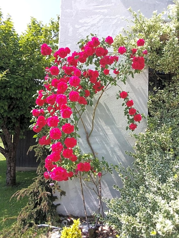 B&B La casa di Loretta