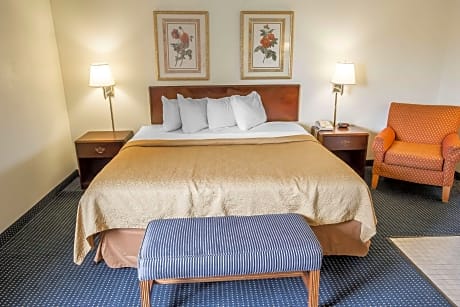 1 King Bed, Nonsmoking