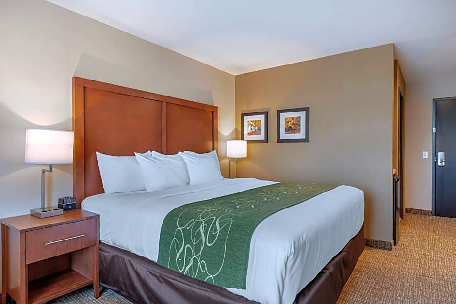 Comfort Inn & Suites Schenectady - Scotia