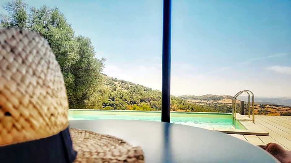 Tuffudesu Experience