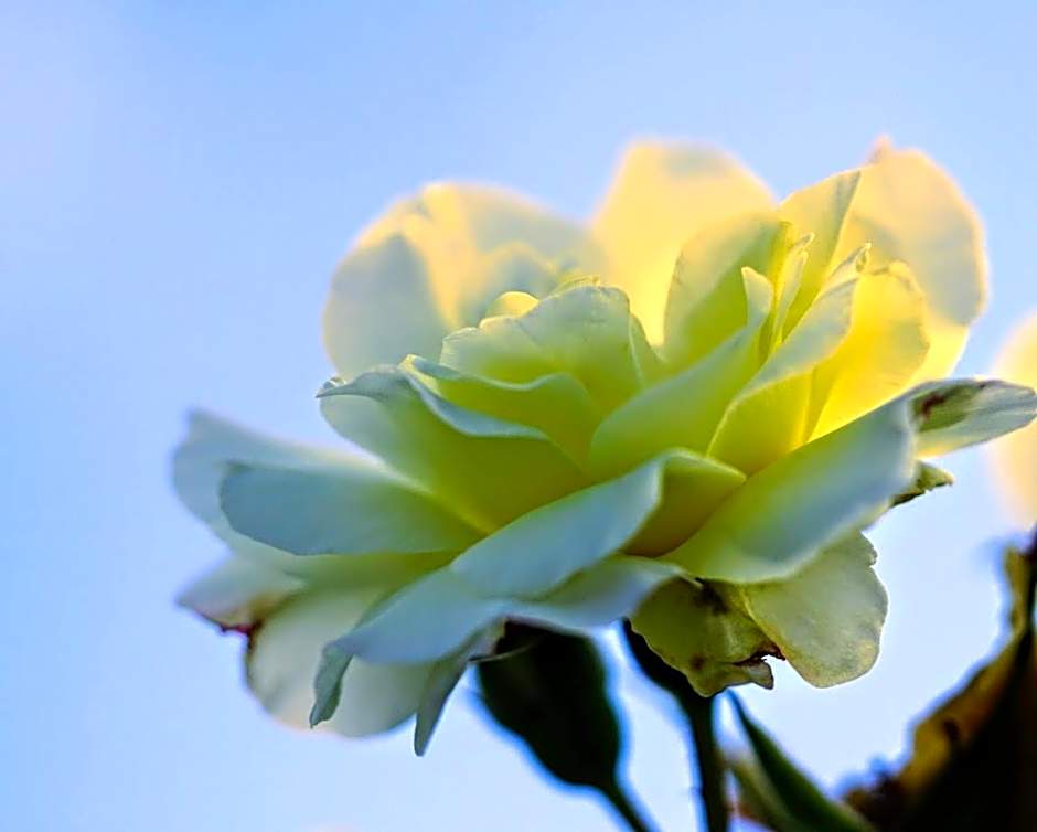 Hotell Turistgården i Simrishamn