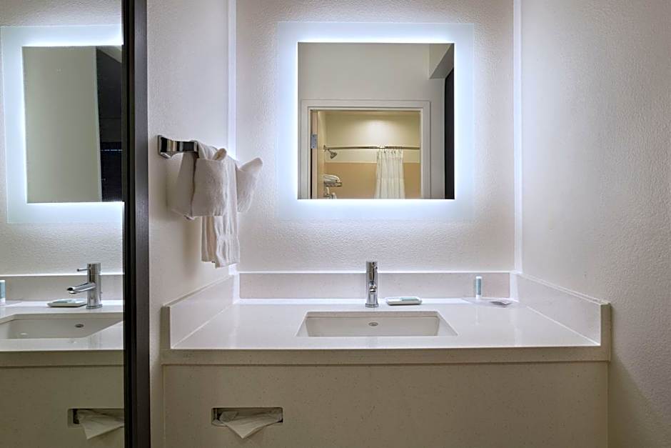 SpringHill Suites by Marriott Dallas Dfw Airport East/Las Colinas Irving