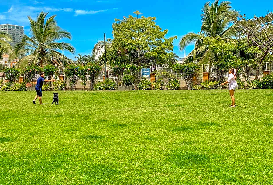 Puerto de Luna Pet Friendly and Family Suites