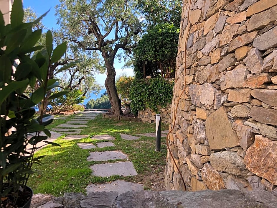 Villa Degli Ulivi B&B