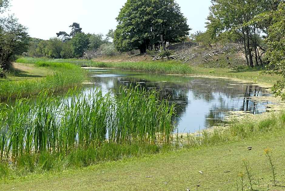 Duin-Vliet - Free parking