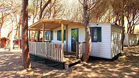 Mobile Home