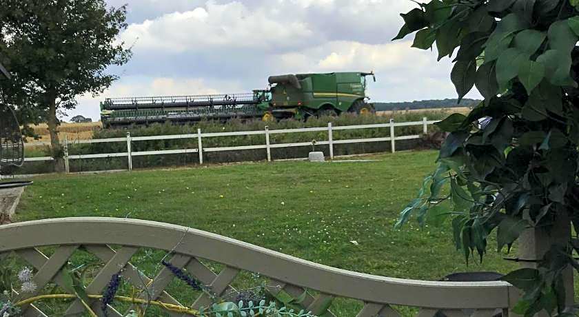 Old Thatch Bambers Green