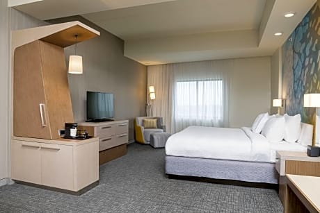 Room, 1 King Bed with Sofa bed (1 King Bed and 1 Double Sofa Bed)