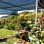 Pietrantica - Affittacamere con giardino NUOVA APERTURA a Trebiano -CITR