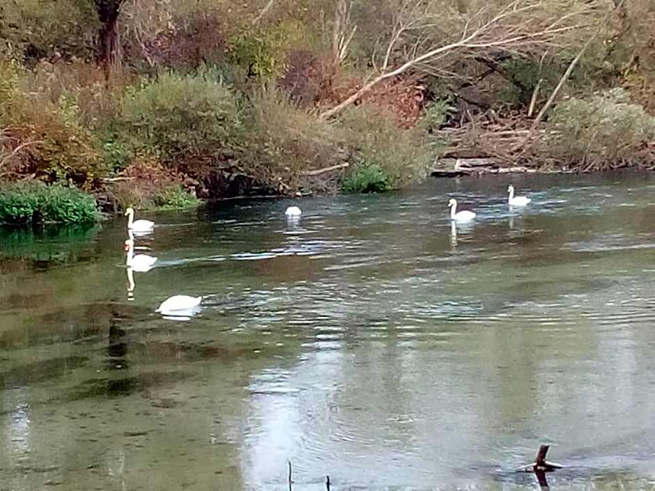 Hotel Locanda Da Carla