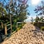 Burleigh Surf Apartments