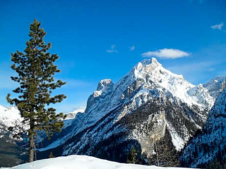 Double or Twin Room with Mountain View