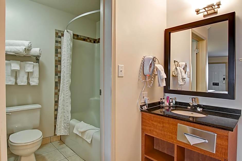 Canalta Jurassic - Drumheller