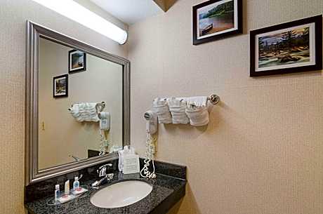 1 King Bed Suite Nonsmoking Accessible