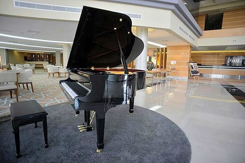 Anemon Grand Adana Otel