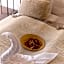 Deluxe Swan Stone Castle Apartment