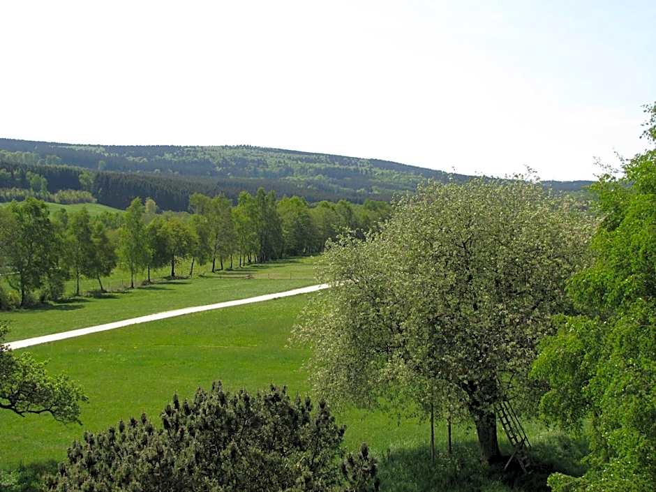Hotel Steuer