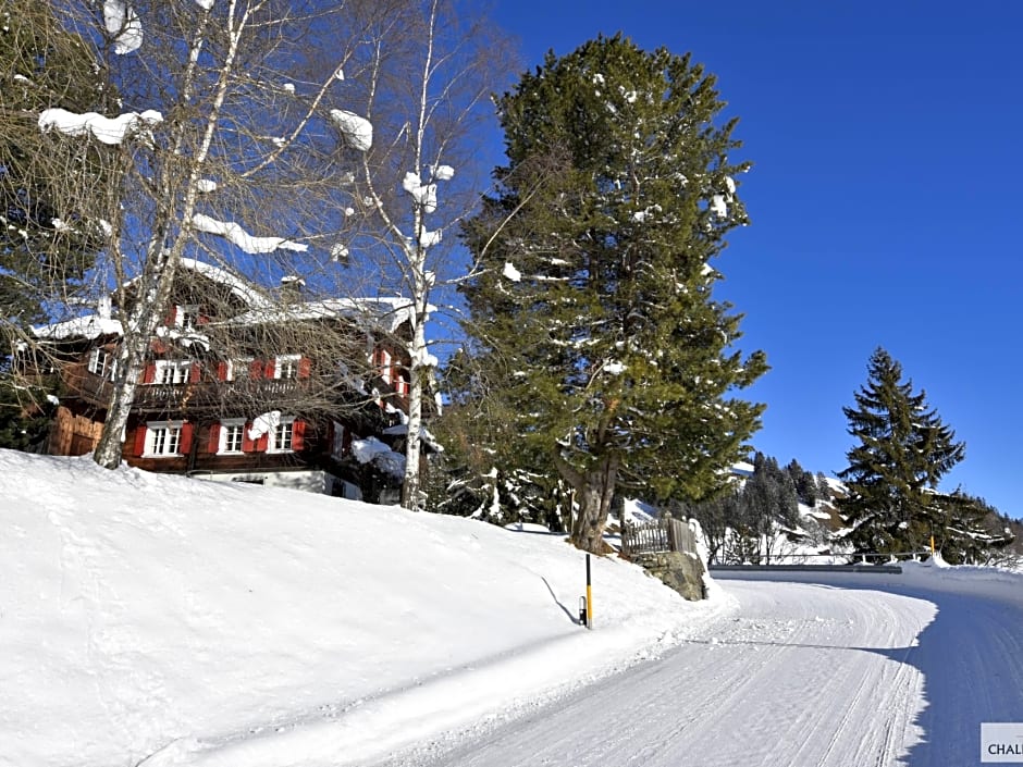 Chalet Riedji - One Bedroom